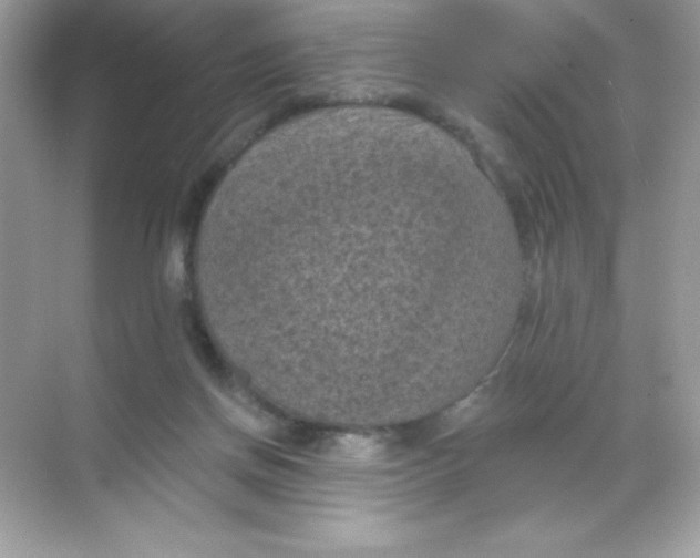 X0000068740166200605192354