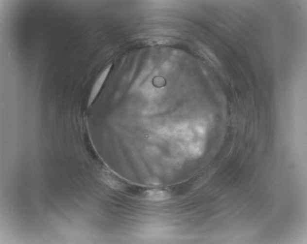 X0000068740169200605192354