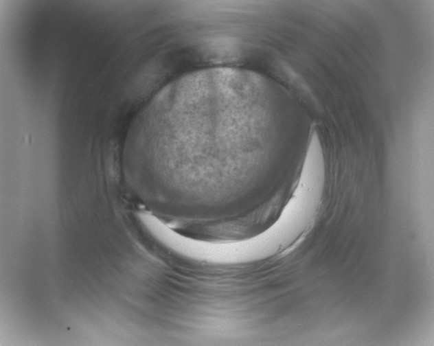 X0000068740170200605192354