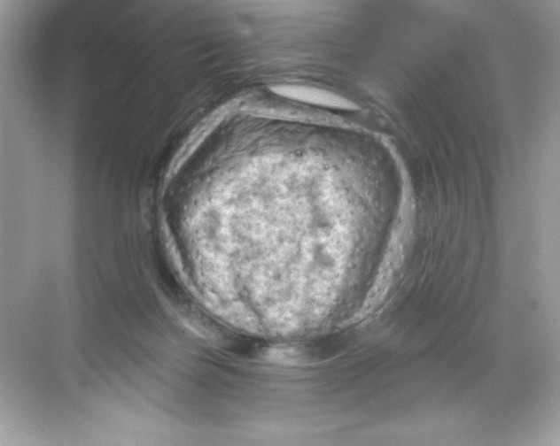 X0000068740171200605192354