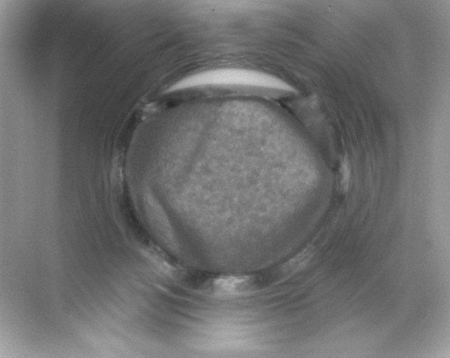 X0000068740172200605192354