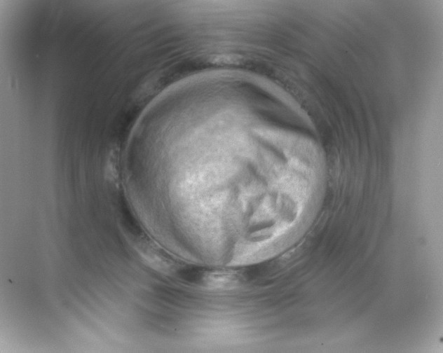 X0000068740175200605192354