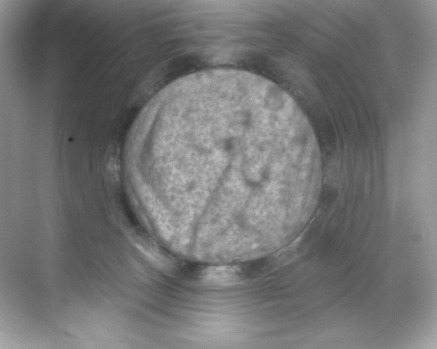 X0000068740179200605192354