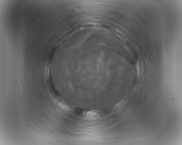 X0000068740180200605192354