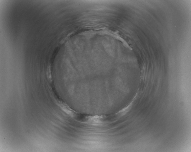 X0000068740182200605192354