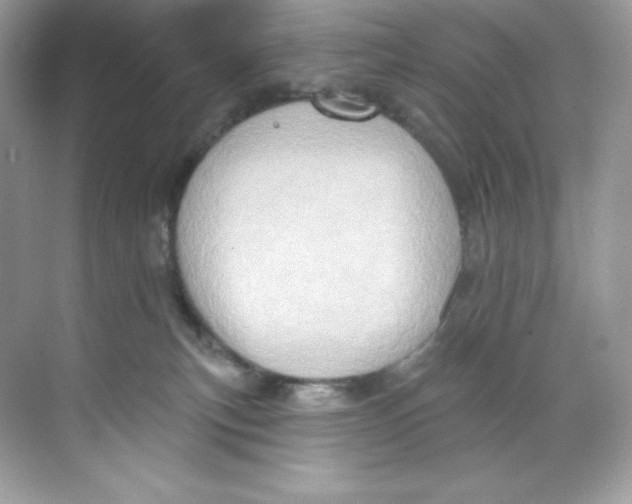 X0000068740183200605192354