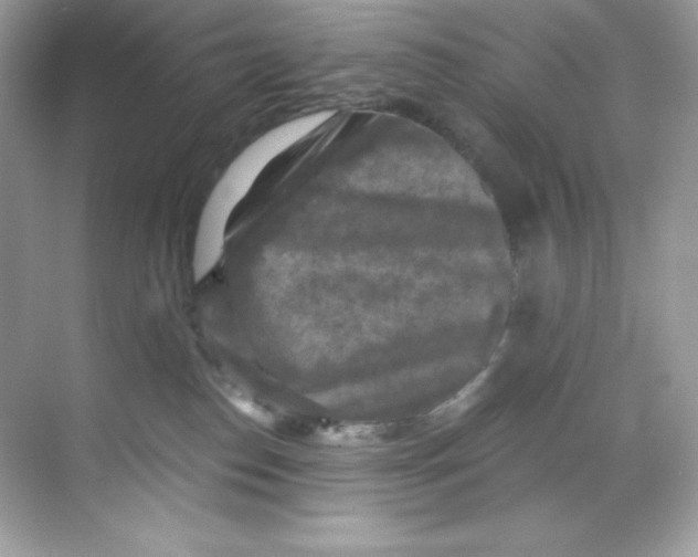 X0000068740186200605192354