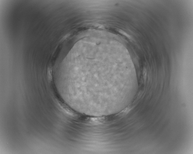 X0000068740188200605192354