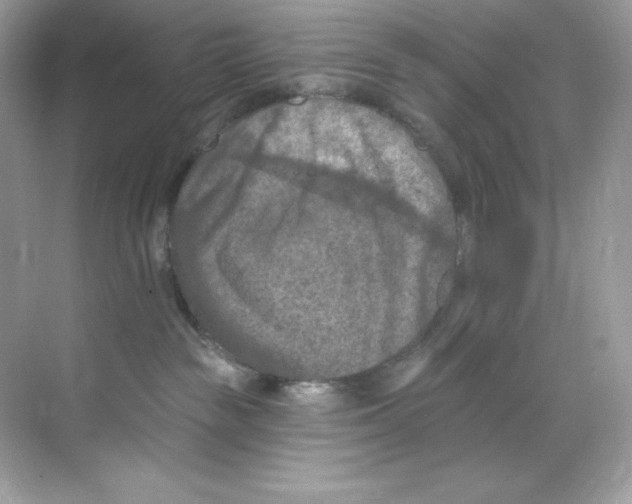 X0000068740189200605192354