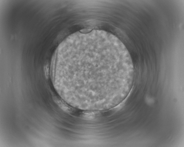 X0000068740190200605192354