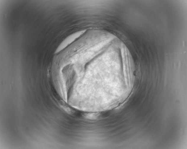 X0000068740191200605192354