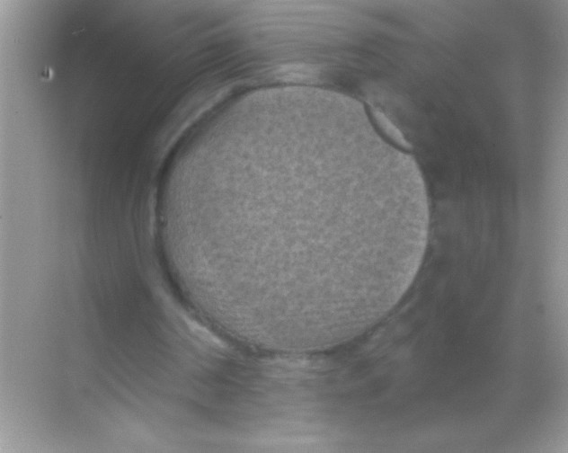 X0000068740194200605192354