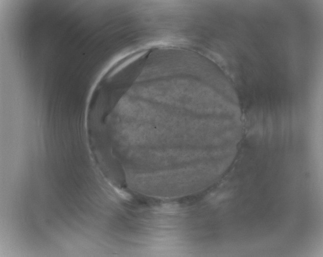 X0000068740196200605192354