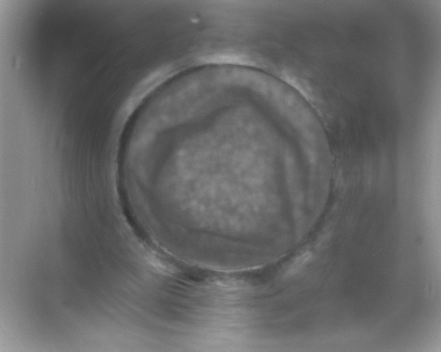 X0000068740199200605192354