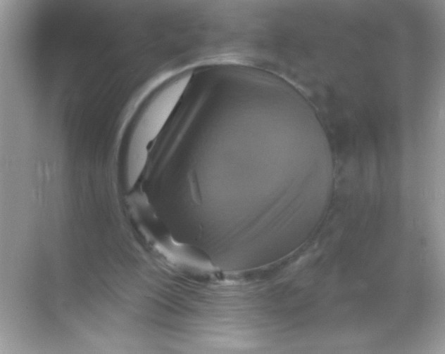 X0000068740200200605192354