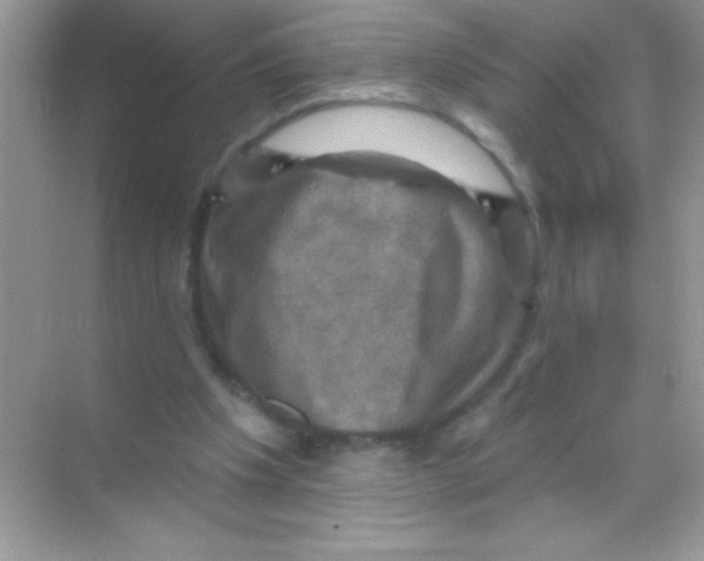 X0000068740201200605192353