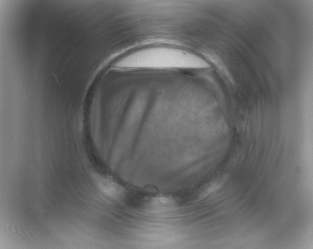 X0000068740204200605192353