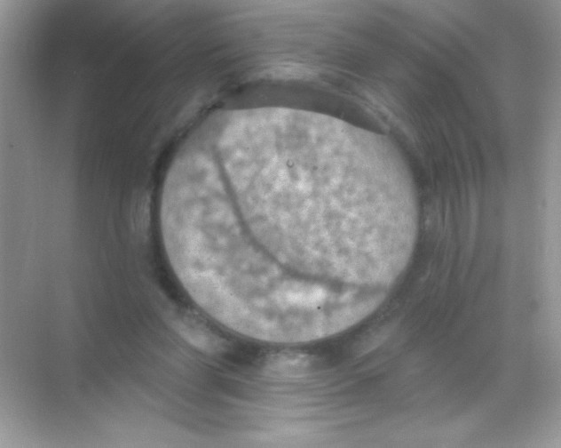 X0000068740206200605192353