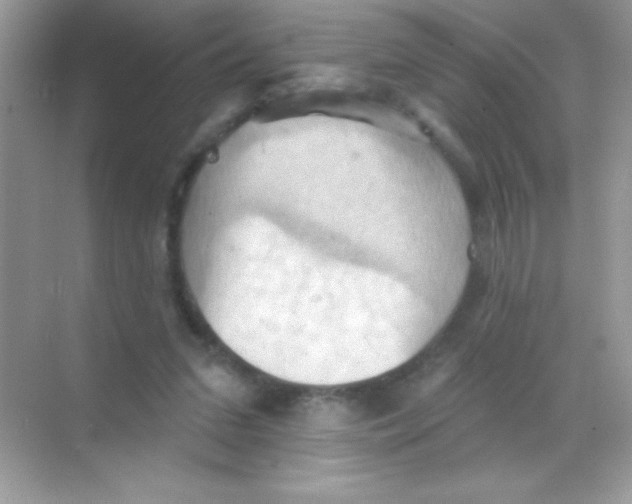 X0000068740207200605192353