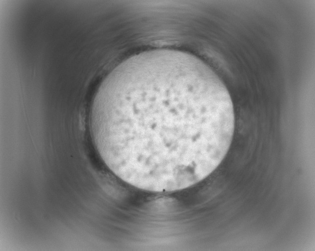 X0000068740210200605192353