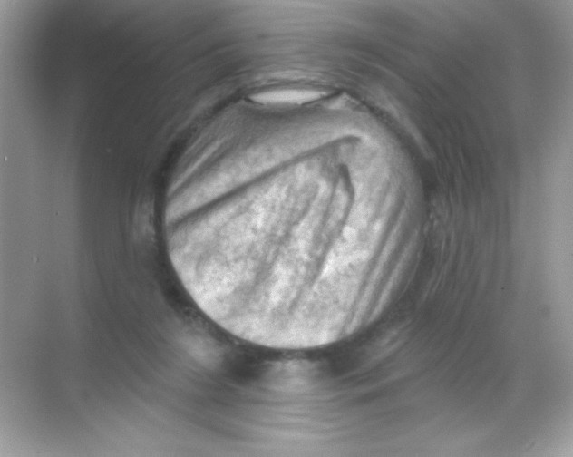 X0000068740212200605192353