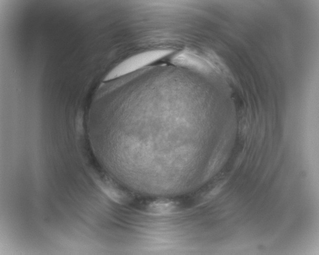 X0000068740213200605192353