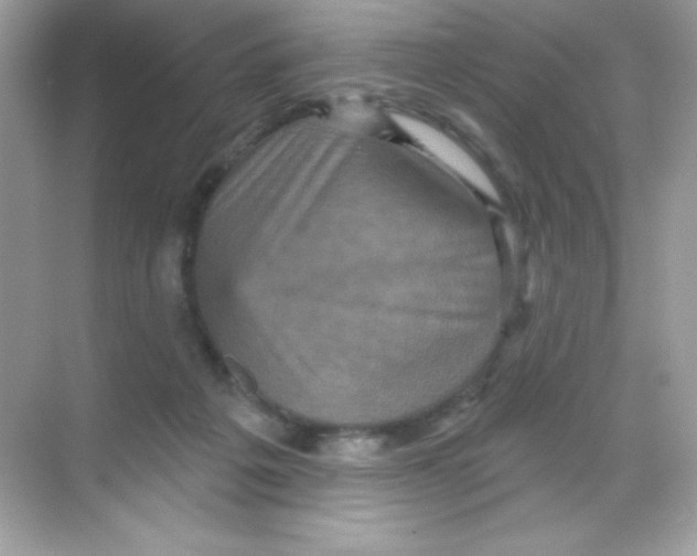 X0000068740217200605192353