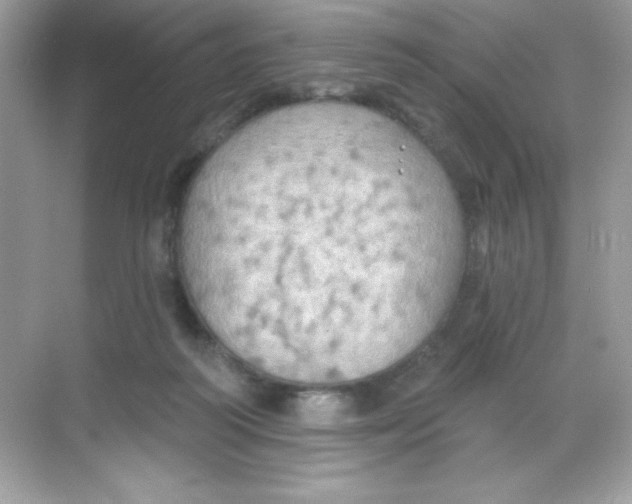 X0000068740218200605192353