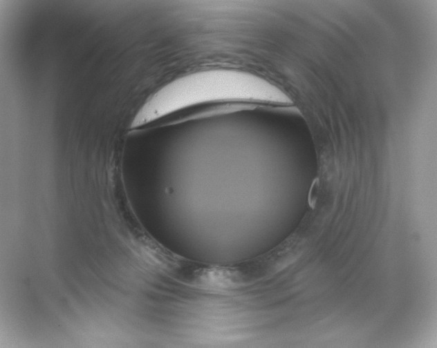 X0000068740223200605192353