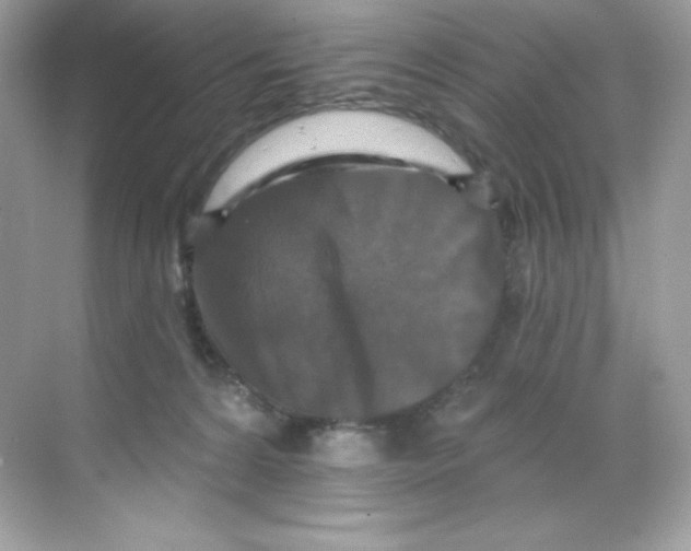 X0000068740224200605192353