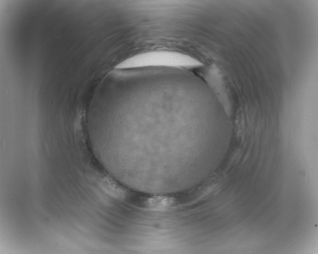 X0000068740225200605192353