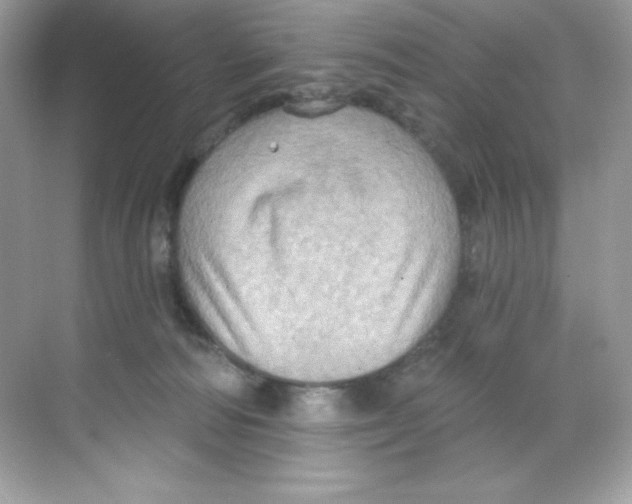 X0000068740226200605192353