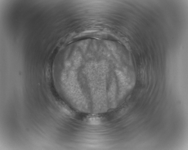 X0000068740228200605192353