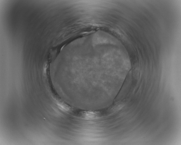 X0000068740229200605192353