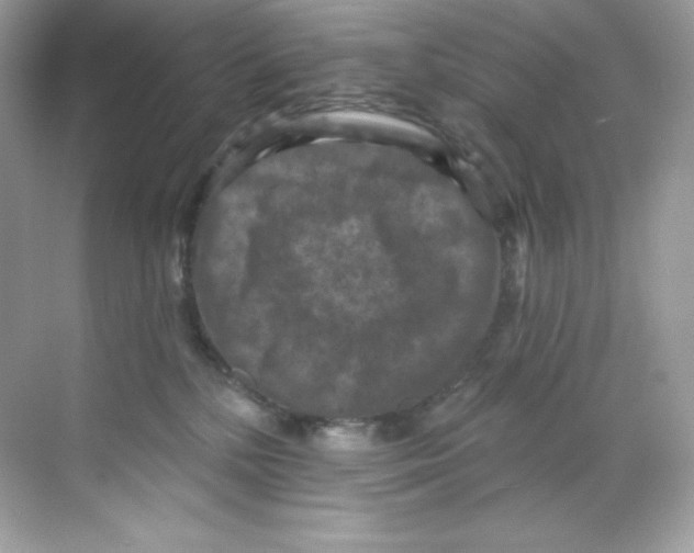 X0000068740232200605192353