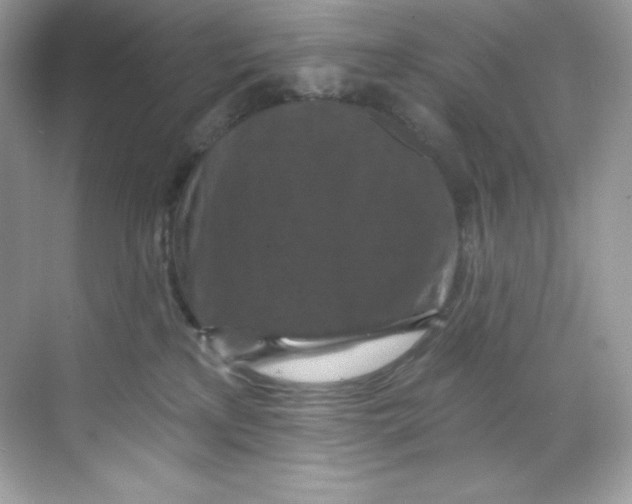 X0000068740233200605192353