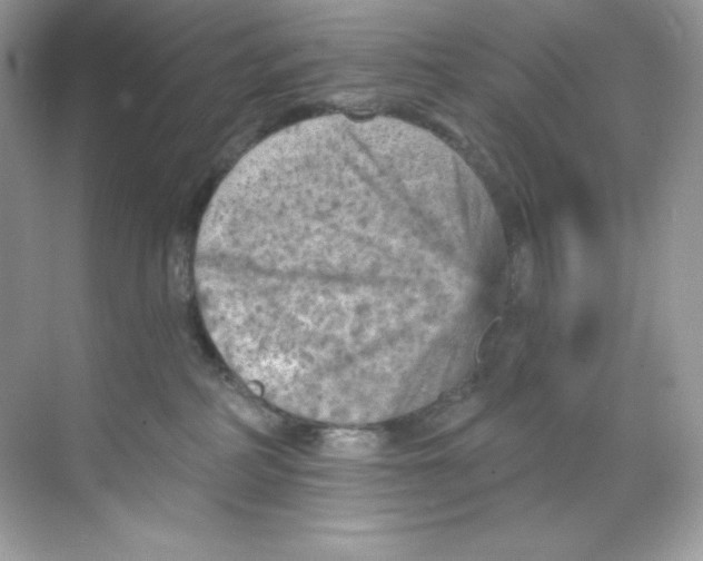 X0000068740234200605192353