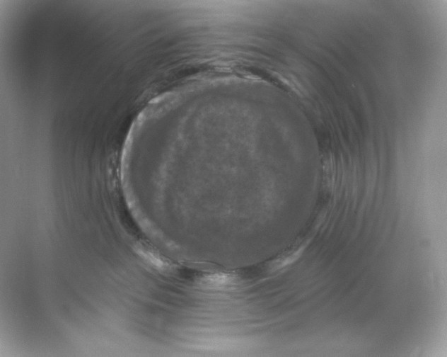 X0000068740237200605192353