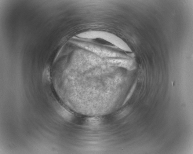 X0000068740238200605192353