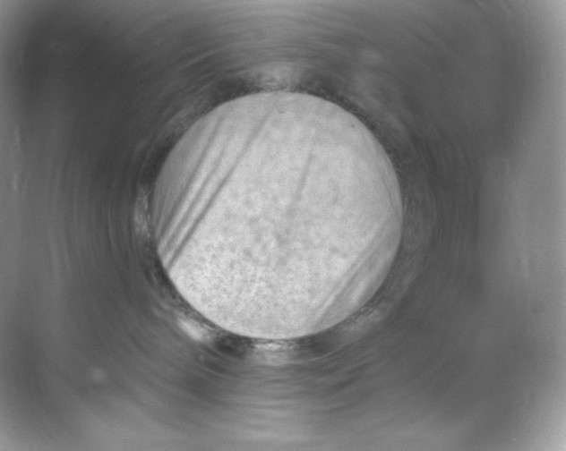 X0000068740240200605192353