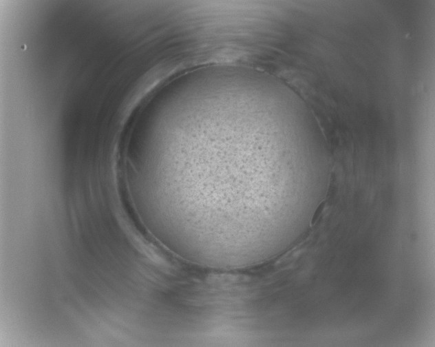 X0000068740242200605192352