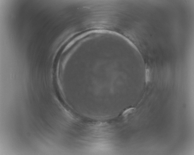 X0000068740243200605192352