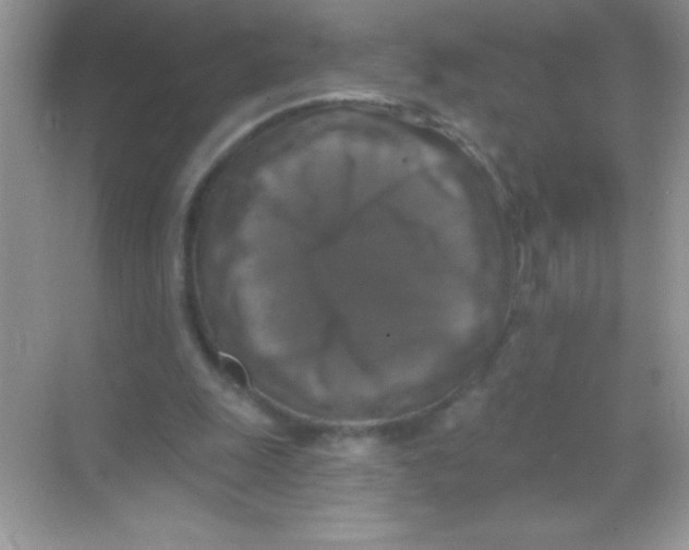 X0000068740247200605192352