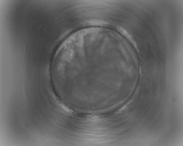 X0000068740249200605192352