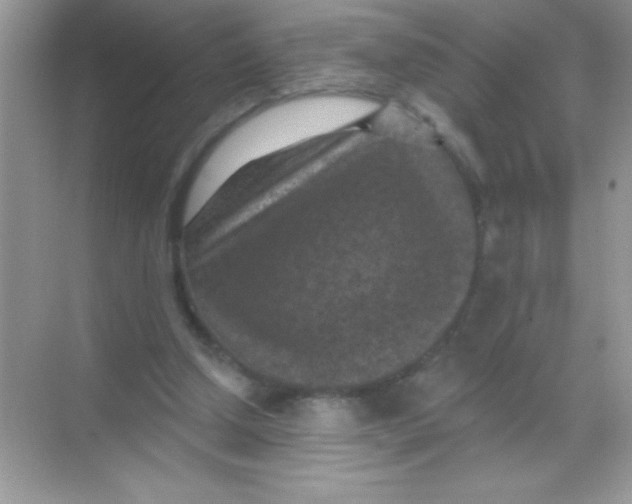 X0000068740250200605192352