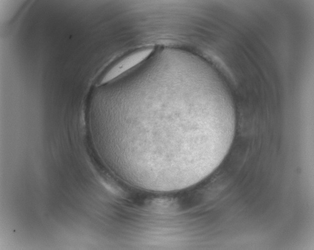 X0000068740251200605192352