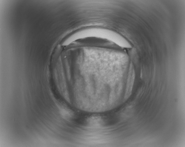 X0000068740252200605192352