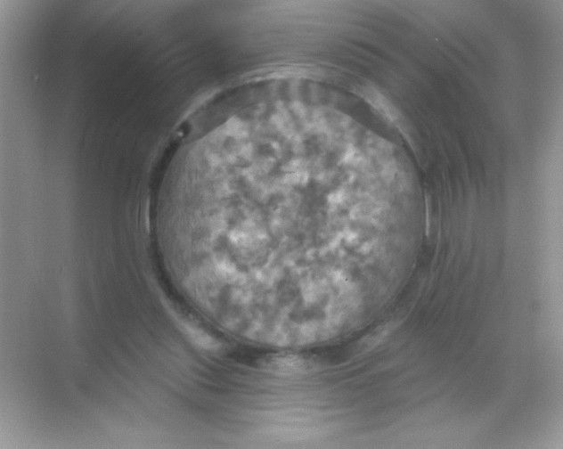 X0000068740253200605192352