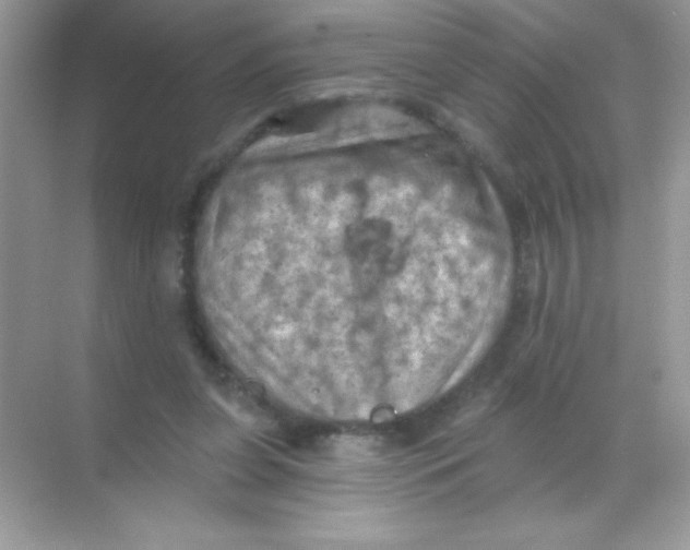 X0000068740255200605192352