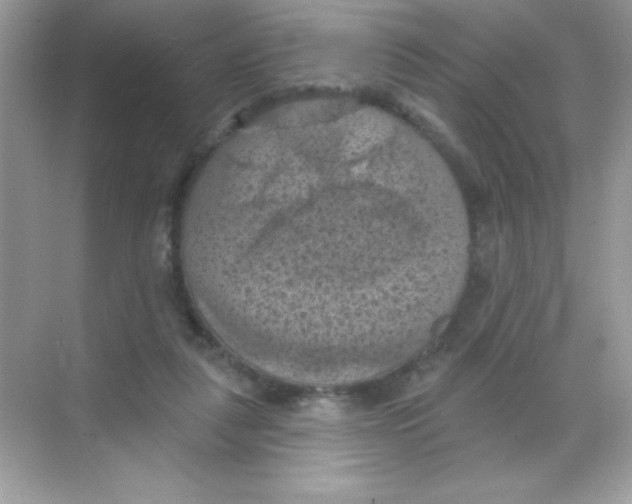 X0000068740259200605192352